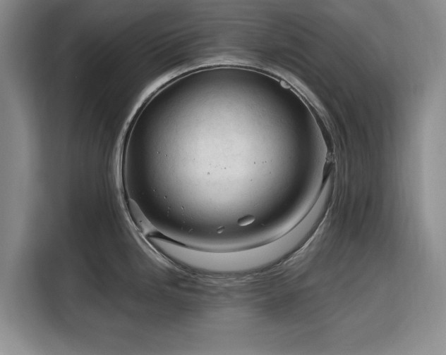 X0000116391246200912091428