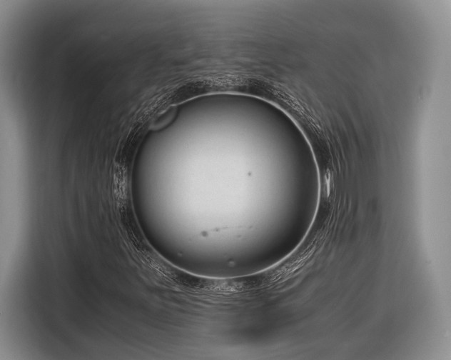 X0000116391251200912091427