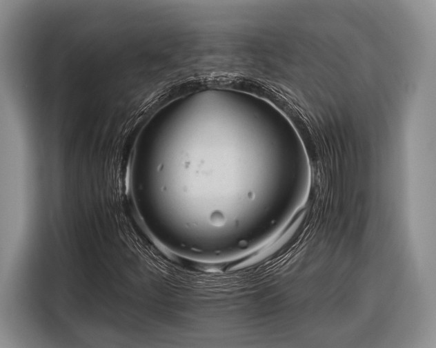 X0000116391252200912091427