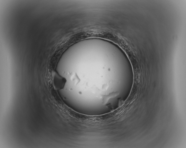 X0000116391253200912091427