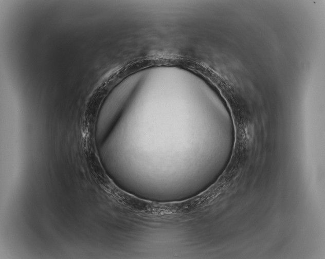 X0000116391254200912091427