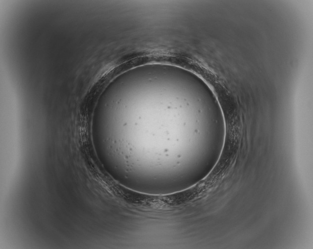 X0000116391255200912091427