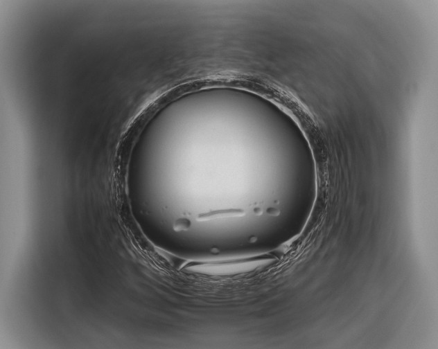 X0000116391256200912091427
