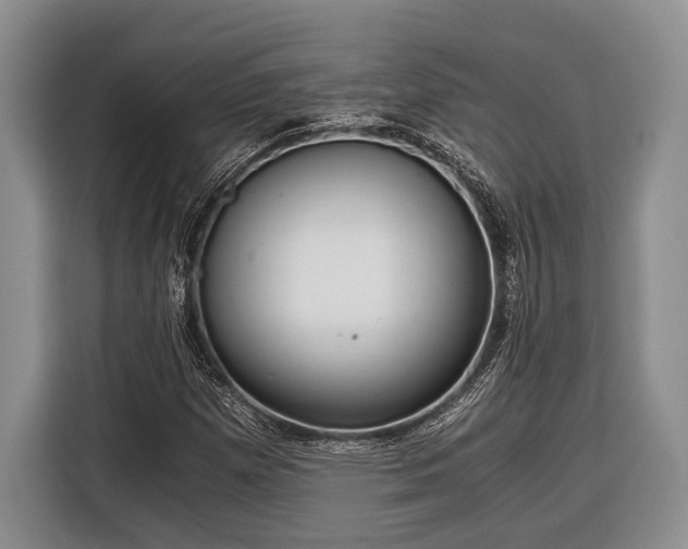 X0000116391257200912091427