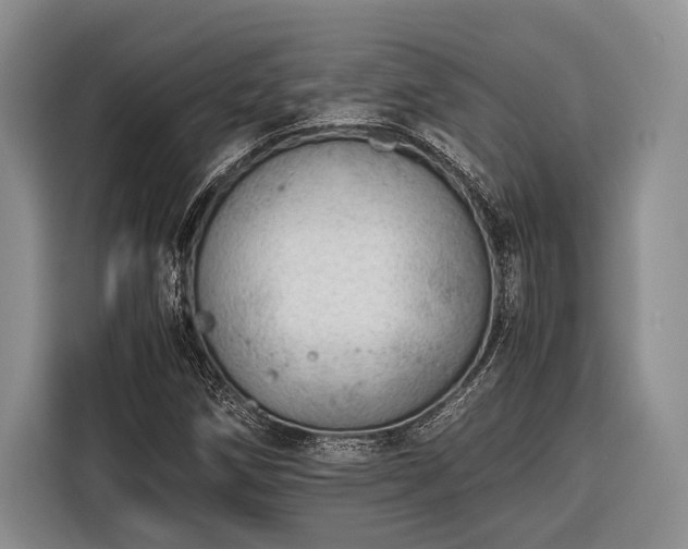 X0000116391258200912091427