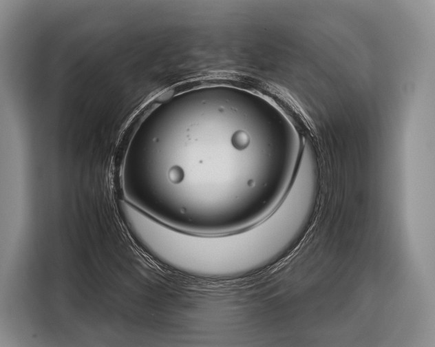 X0000116391260200912091427