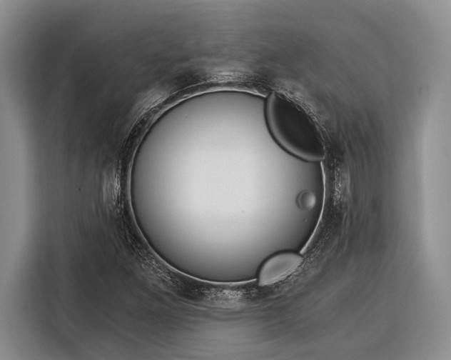 X0000116391261200912091427