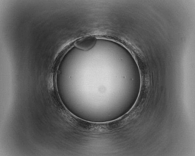 X0000116391262200912091427