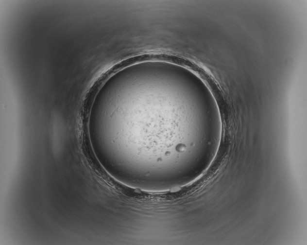 X0000116391263200912091427