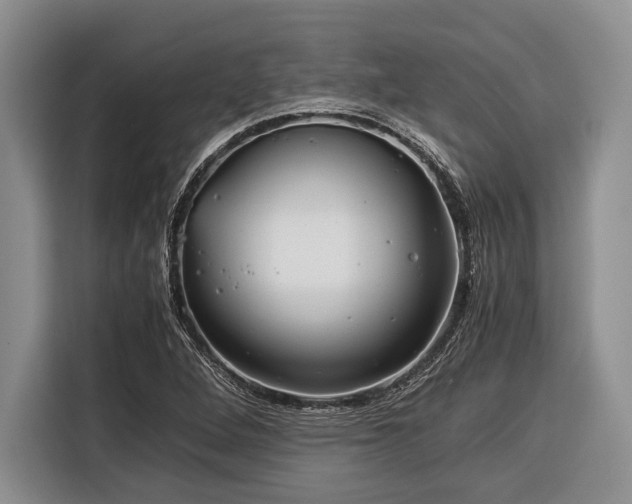 X0000116391264200912091427