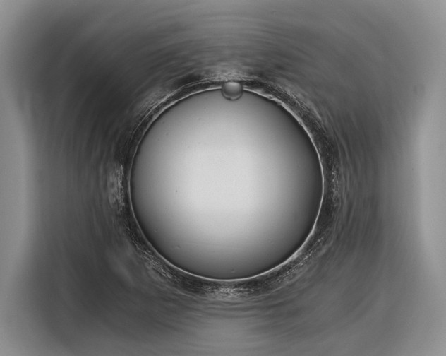 X0000116391265200912091427