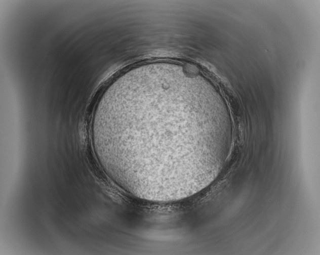 X0000116391266200912091427
