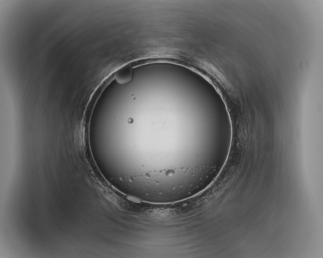 X0000116391268200912091427