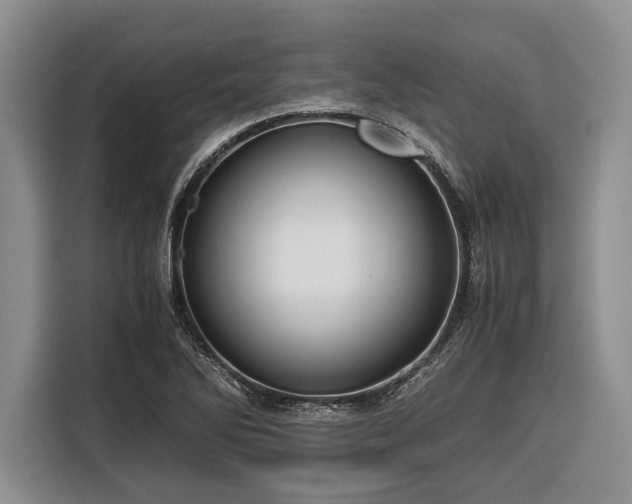 X0000116391270200912091427