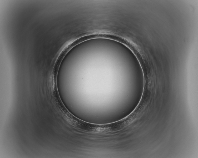 X0000116391271200912091427