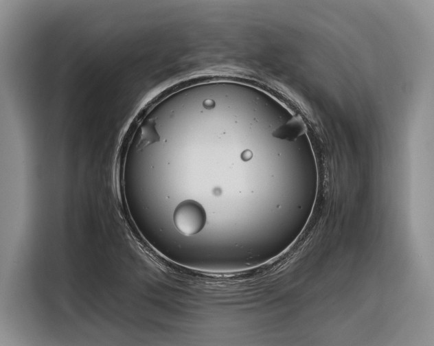 X0000116391272200912091427