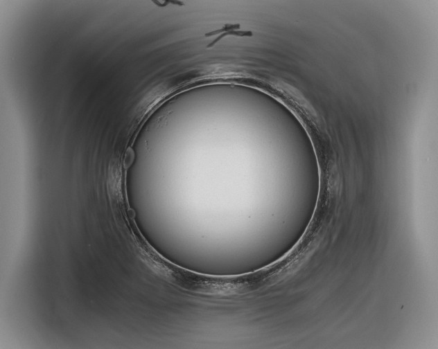 X0000116391273200912091427