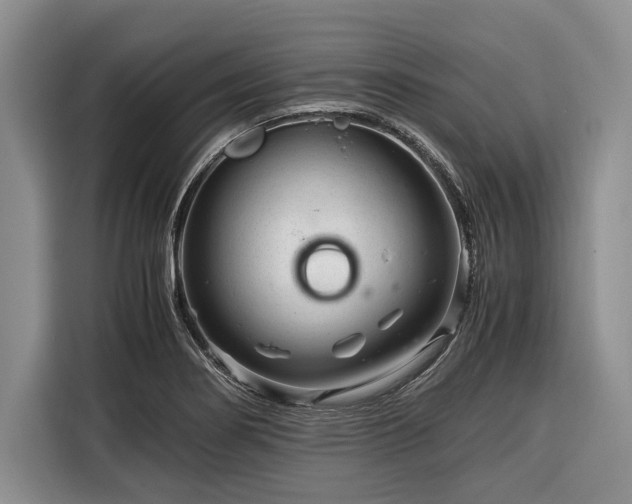 X0000116391274200912091427