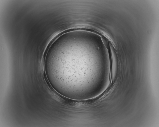 X0000116391275200912091427