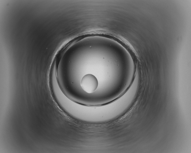 X0000116391277200912091427