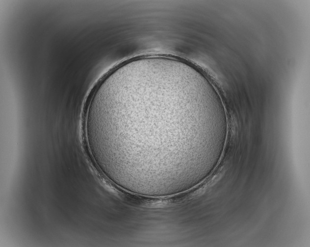 X0000116391278200912091427