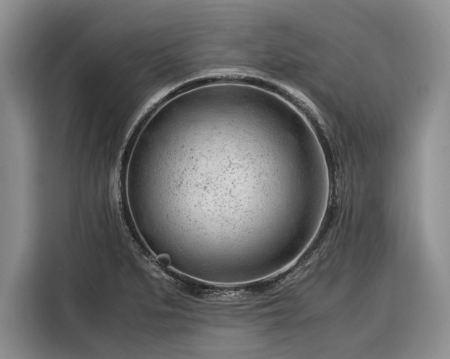 X0000116391279200912091427