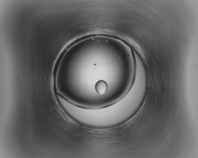 X0000116391280200912091427