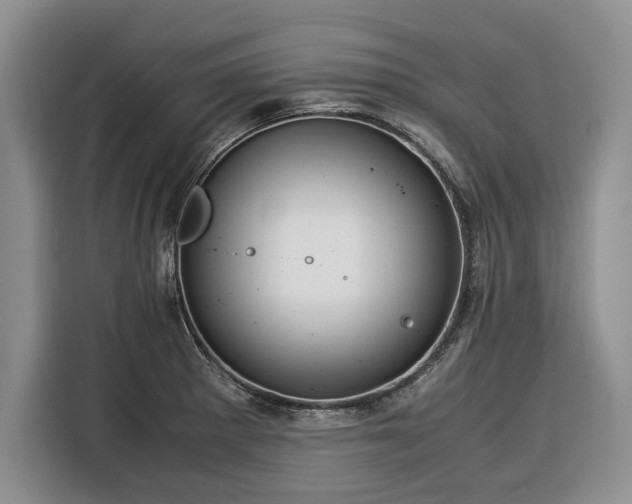 X0000116391281200912091427