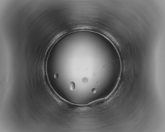 X0000116391282200912091427