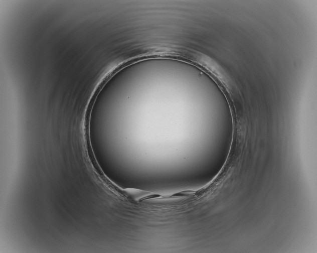 X0000116391283200912091427