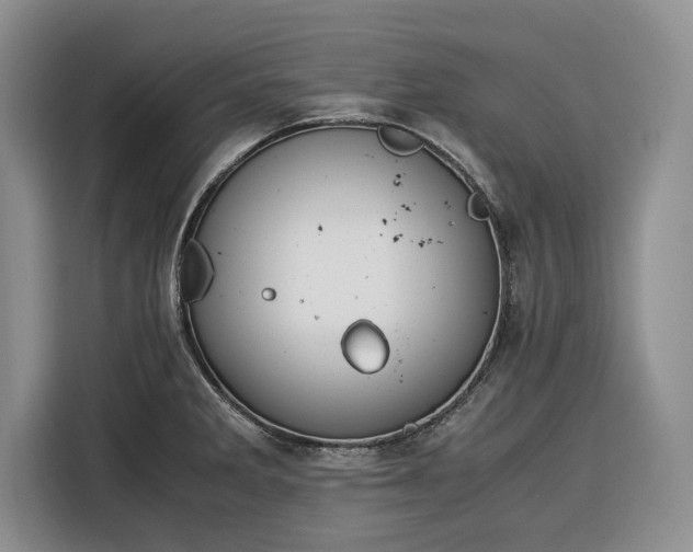X0000116391285200912091427