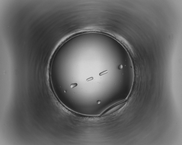 X0000116391288200912091427