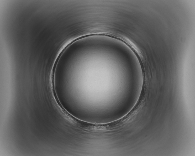 X0000116391291200912091427
