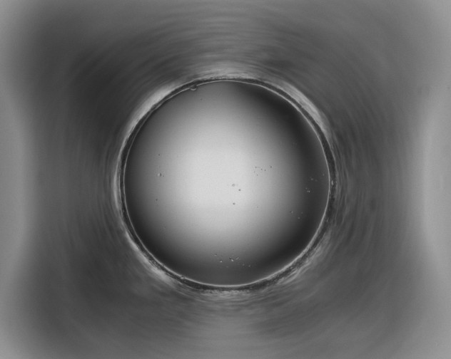 X0000116391293200912091427
