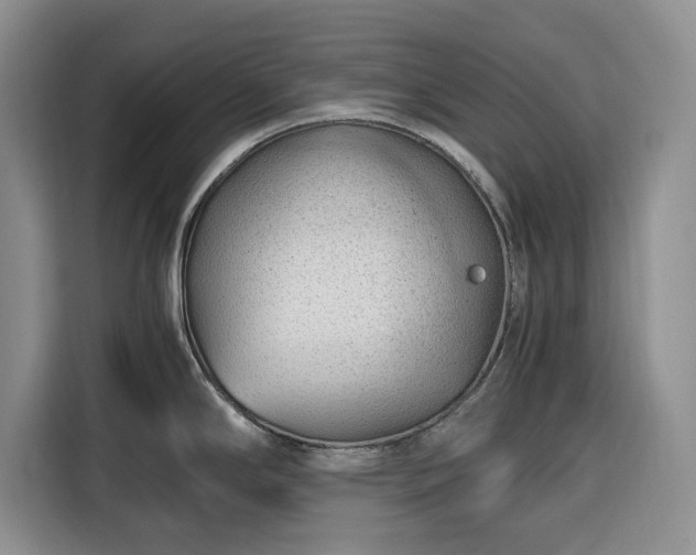 X0000116391294200912091427
