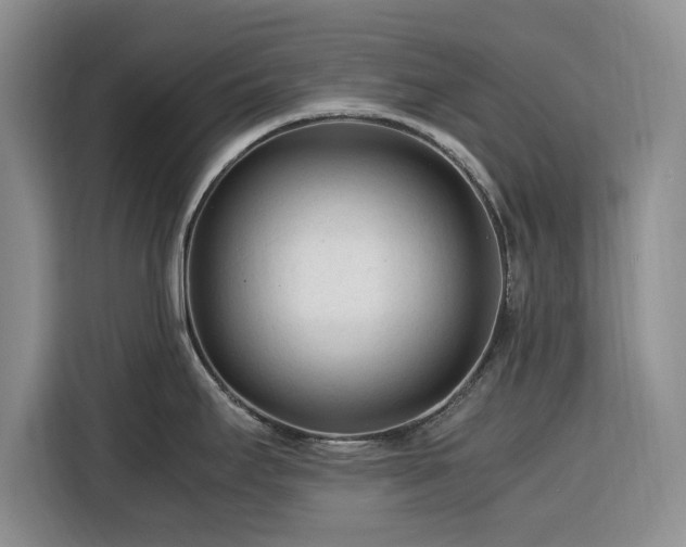 X0000116391295200912091427