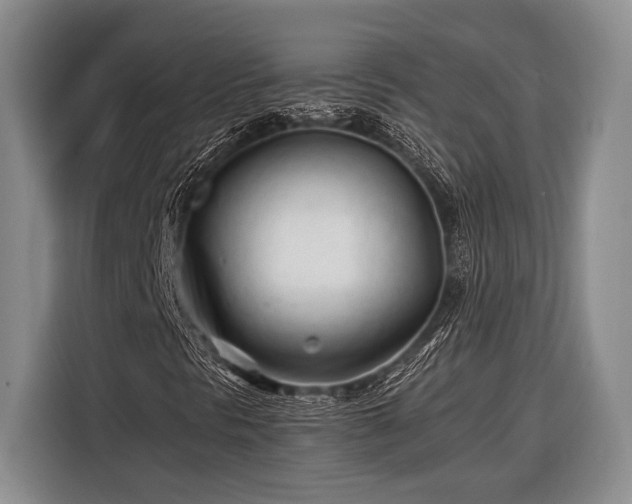 X0000116391297200912091426