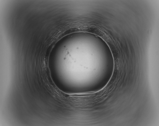 X0000116391298200912091426