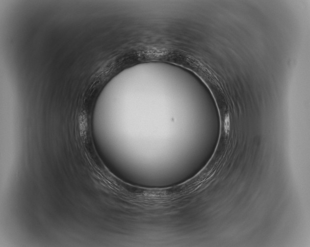 X0000116391299200912091426