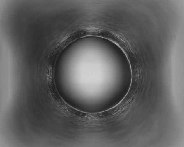 X0000116391301200912091426