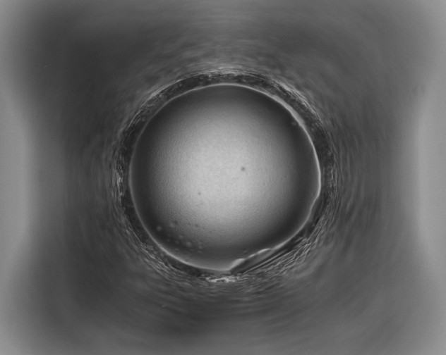X0000116391303200912091426