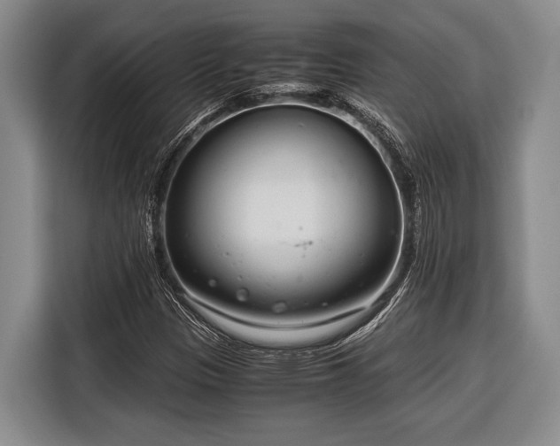 X0000116391305200912091426