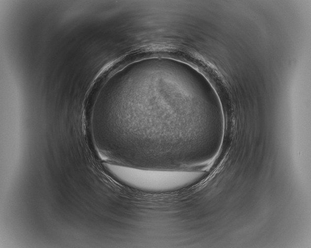 X0000116391306200912091426