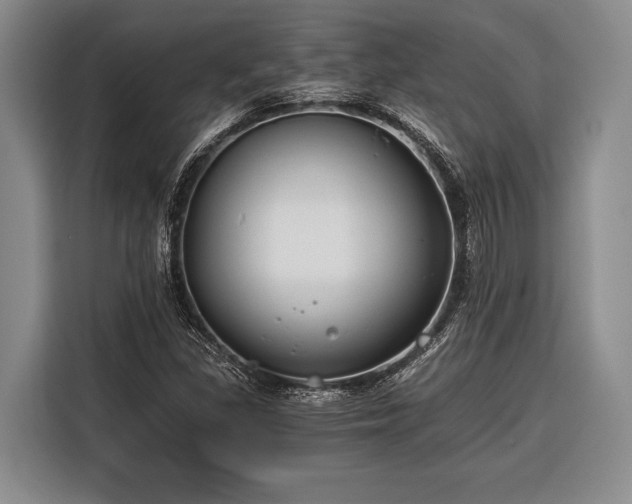 X0000116391309200912091426