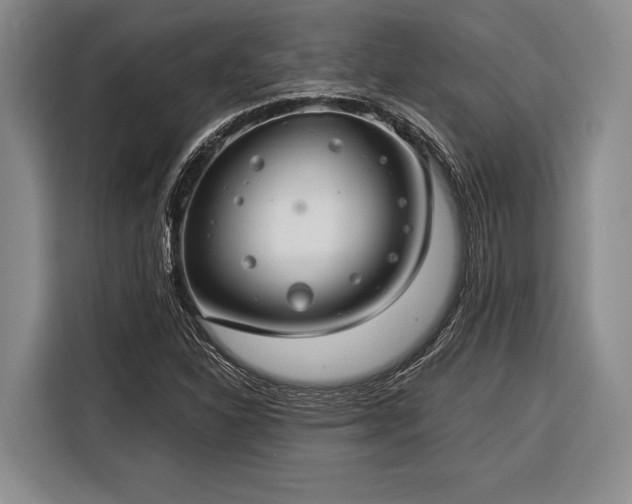 X0000116391310200912091426