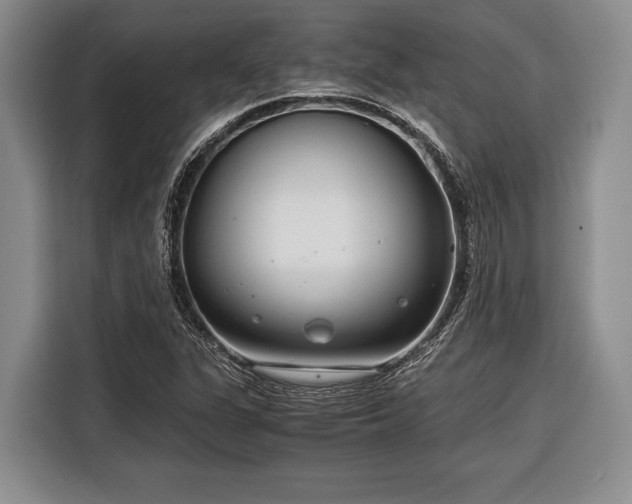 X0000116391311200912091426
