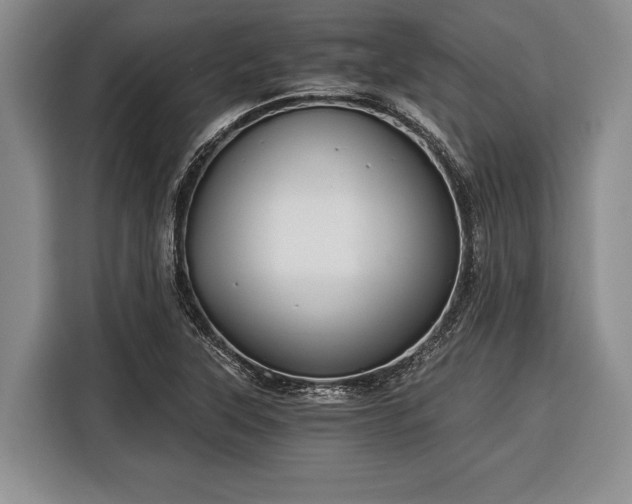 X0000116391315200912091426