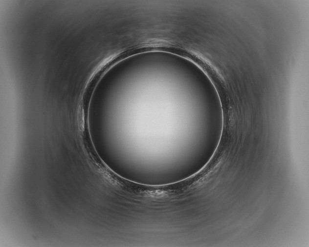 X0000116391317200912091427
