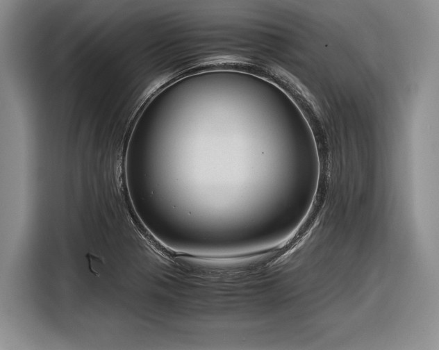 X0000116391321200912091427