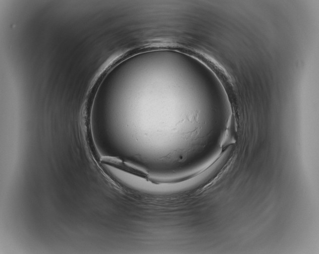 X0000116391325200912091427